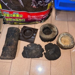 カブトムシ・クワガタなどの飼育セットの画像