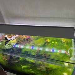 【引き取り限定】ADA 60cm水槽 セット*現状お渡し　の画像