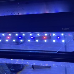 水槽セット　の画像