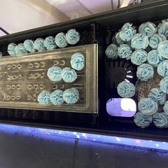 水槽セット　の画像