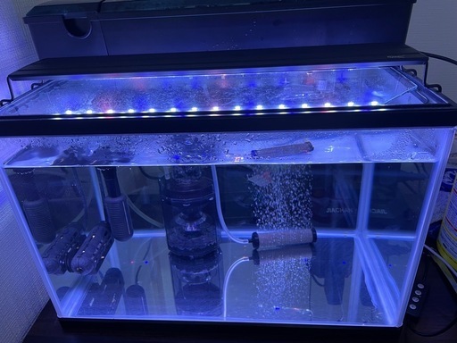 水槽セット　 楽天市場】テトラ 水槽セット メダカを育てよう 初心者 お一人様5点 