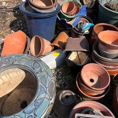 植木鉢たくさん差し上げますの画像