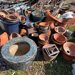 植木鉢たくさん差し上げますの画像