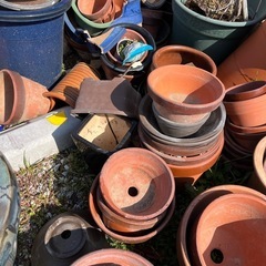 植木鉢たくさん差し上げますの画像