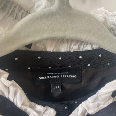 グリーンレーベル　オケージョン 110の画像