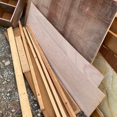 うすベニア  木色々の画像