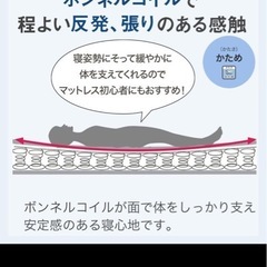 シングルサイズ　マットレス①の画像