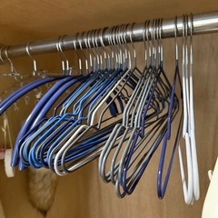 ハンガー約35本セット！あげますの画像