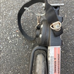 BURLEY     バーレーの画像