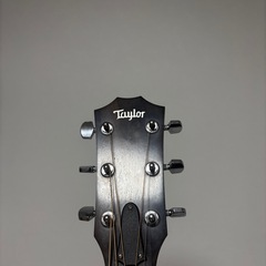 【オンライン決済/配送相談可】Taylor 214ce(2018年)の画像
