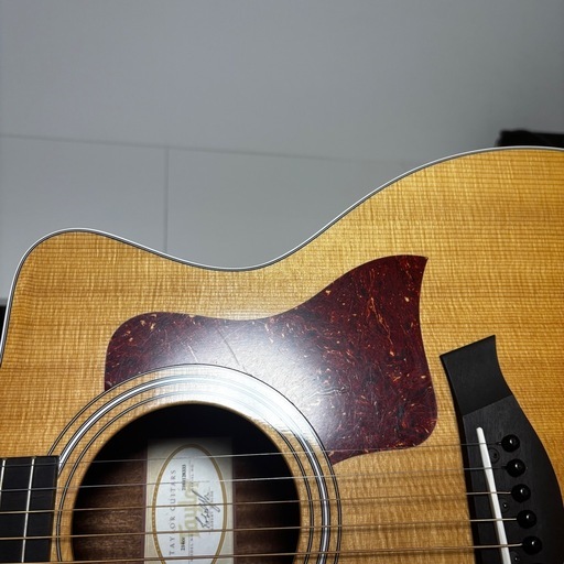 【オンライン決済/配送相談可】Taylor 214ce(2018年)