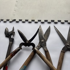 剪定バサミの画像