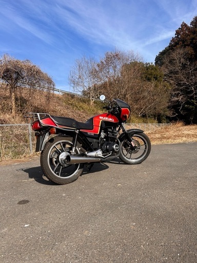 人気 ワンオーナー GSX250E実働