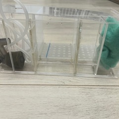 ベタ用飼育水槽3連、LEDの画像