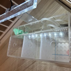 ベタ用飼育水槽3連、LEDの画像