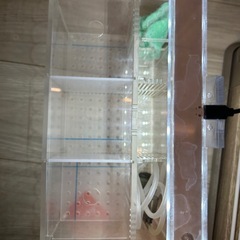 ベタ用飼育水槽3連、LEDの画像