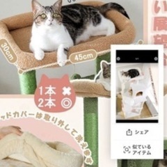 キャットタワーの画像
