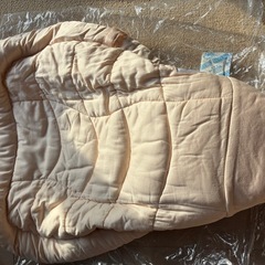 数回使用エルゴベビー　インファントインサートの画像