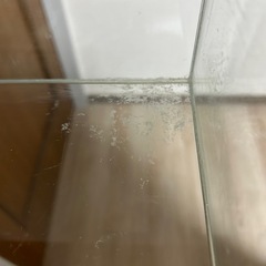 水槽　60cm GEX aquaristaの画像