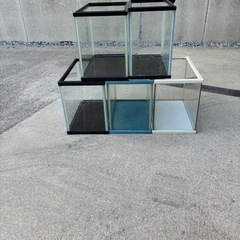 小型水槽の画像