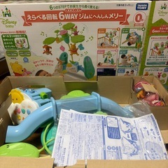 プーメリーの画像