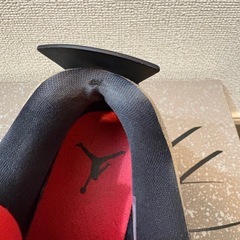 AIR JORDAN 4 "TAUPE HAZE" 27cmの画像