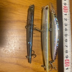 シーバスルアーセットの画像