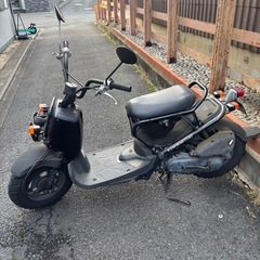 ズーマーの画像