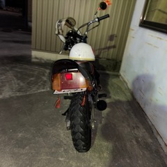 エイプ50  不具合なしの画像