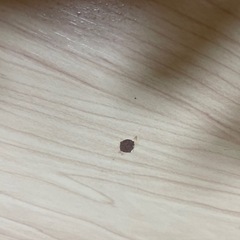 【2/18まで】昇降テーブル90×60cm 武田コーポレーション  の画像