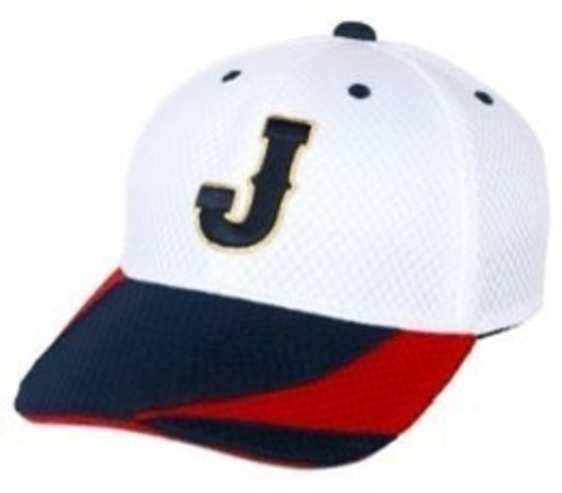 WBC 侍ジャパン VS 福岡ソフトバンクホークス　強化試合　2026 ひなたサンマリンスタジアム宮崎　応援キャップ付き　内野席１階１