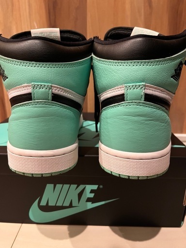 NIKE グリーングロー　26cm