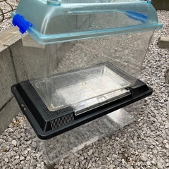 昆虫飼育ケース4サイズ⭐︎お譲りしますの画像