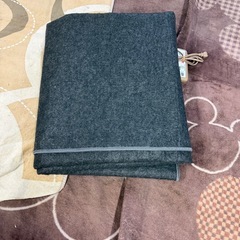 【美品】Panasonic DC-3NKC1-C 3畳相当 電気カーペット　パナソニック　　ホットカーペットの画像