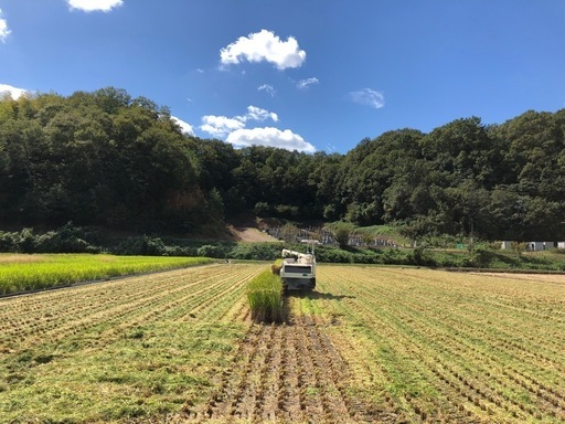 農家直送の美味しいお米 令和7年度産 ヒノヒカリ 30キロ