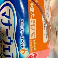 【ペット用】　マナーウェア　女の子・中型犬・Lサイズの画像