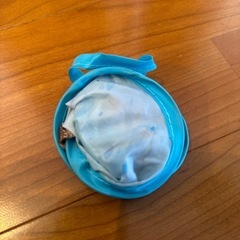 台湾土産のうちわの画像