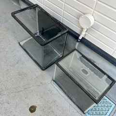 水槽　無料の画像