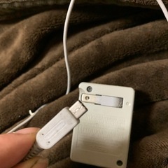 任天堂充電器の画像