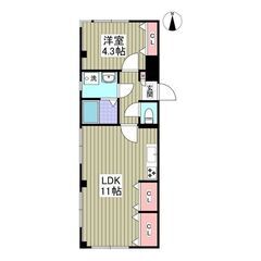 🔥敷礼0✨FR1ヶ月🔥西川口12分の南向き1LDK🔥収入・…