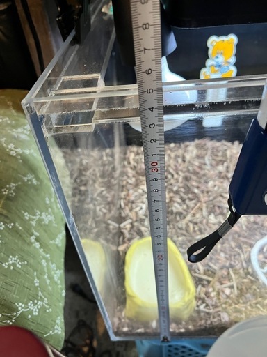 アクリル水槽、爬虫類ケージ、
