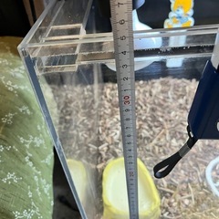 アクリル水槽、爬虫類ケージ、の画像