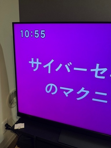 【お得:ブルーレイ付き】55型テレビ