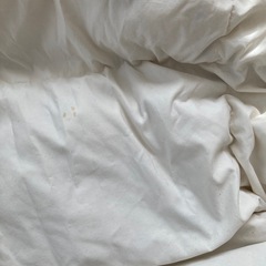 あげます★ニトリ羽毛掛け布団シングルの画像