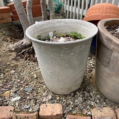 植木鉢差し上げますの画像