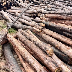 【無料】山から撤去した材木
の画像