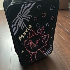 スーツケース　２０Lの画像