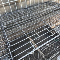 チャブ ペットカゴ　鳥かご　鶏かごの画像