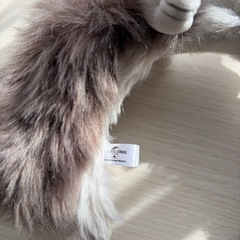 ユニバ　SNOOPYカチューシャの画像