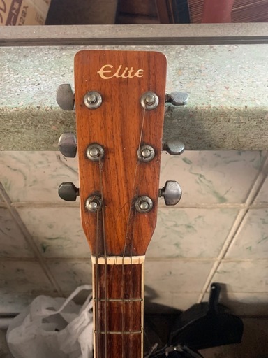 楽器 takamine elite tw25